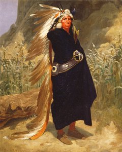 Retrato de um chefe indiano, 1875