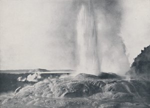 Geyser, Nova Zelândia, 1924 de Valentine and Sons Ltd