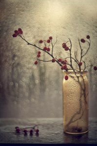 Frutos silvestres junto à janela chuvosa de Valeriya Tikhonova