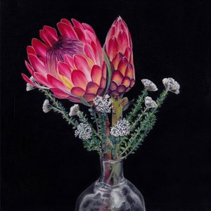Ramo de Proteas-Rei