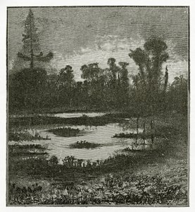 Canções do Crepúsculo, Século 19 (gravura bw) de Victor Hugo