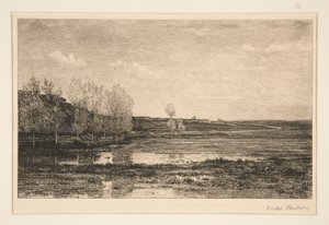 Paisagem