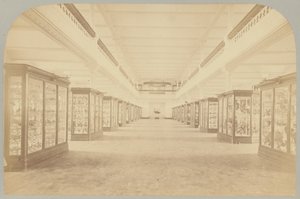 Pl. III. História principal: Pássaros