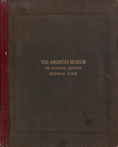 O Álbum Fotográfico do Museu Americano de História Natural, Central Park, Nova York