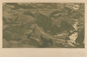 Aves de rapina, 1893.