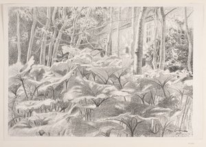 De um jardim de Viggo Langer