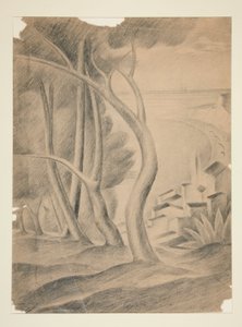 Paisagem