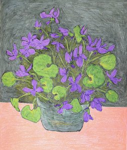 Violetas roxas em vasos de Viktoriia Saunina