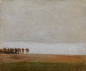 Vista de Jægersborg Allé. Gentofte, norte de Copenhague de Vilhelm Hammershøi