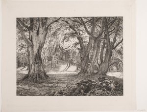 O interior de uma floresta de Vilhelm Kyhn