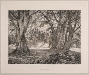 O interior de uma floresta de Vilhelm Kyhn