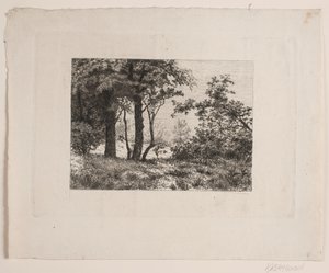 Carvalhos à beira de uma floresta