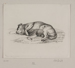 Um cão mentiroso de Vilhelm Kyhn