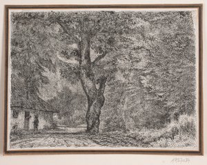 A casa na floresta