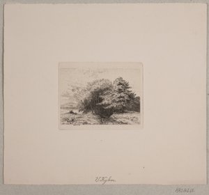 Borda de uma floresta de Vilhelm Kyhn