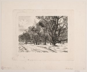 inverno na floresta de Vilhelm Kyhn