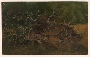 Estudo de um toco de árvore de Vilhelm Petersen