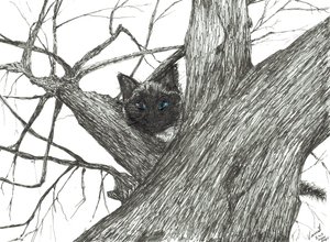 Macieira Baby, 2015, (tinta no papel) de Vincent Alexander Booth