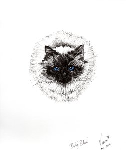 Bola de bebê, 2015, (tinta no papel) de Vincent Alexander Booth