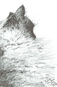Bebé mantém o calor do Ano Novo, 2005 de Vincent Alexander Booth