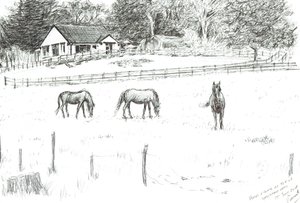 Cavalos no topo da pista, 2008 (tinta sobre papel) de Vincent Alexander Booth