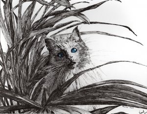 Planta Monty, 2015, (tinta no papel) de Vincent Alexander Booth