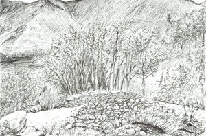 Ponte de pedra velha no distrito do lago, 2005 de Vincent Alexander Booth
