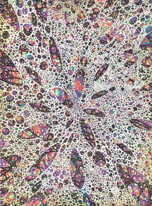 Estrelas dão à luz a cor, 2016, (tinta no papel) de Vincent Alexander Booth