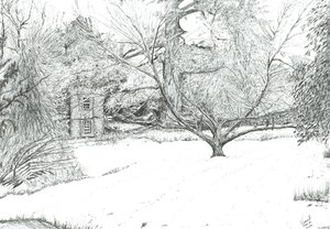 A árvore do lenço nos jardins de Monk Coniston, 2024 (tinta sobre papel) de Vincent Alexander Booth