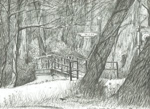 A velha ponte metálica, Parque Bramhall, 2004 de Vincent Alexander Booth