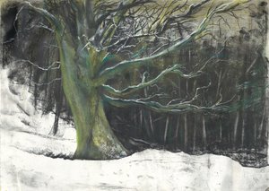 Árvore na neve de inverno na floresta de Osmotherley de Vincent Alexander Booth