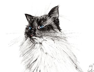 Por quê 2016, (tinta no papel) de Vincent Alexander Booth