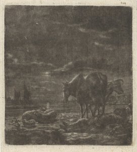 Paisagem noturna com pastor e gado dormindo de Vincent Laurensz. van der Vinne (II)