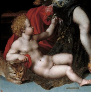 Júpiter em cetim com Antiope e seus gêmeos Detail representando um dos gêmeos com um gato. Pintura de Vincent Sellaer (cerca de 1500-1589) Século XVI .