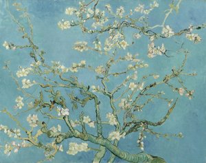 Amendoeira em flor de Vincent van Gogh