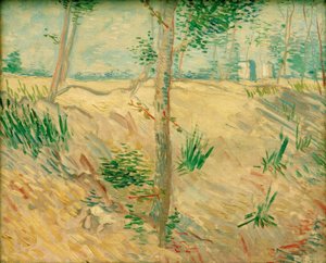 Troncos de árvores à luz do sol de Vincent van Gogh