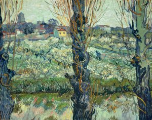 Vista de Arles de Vincent van Gogh