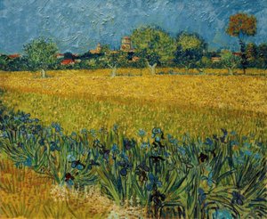 Vista de Arles com flores de íris em primeiro plano