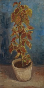 Vaso de flores com urtiga colorida. 1886 de Vincent van Gogh