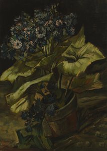 Cinerárias de Vincent van Gogh