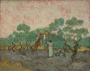Mulheres colhendo azeitonas. 1889 de Vincent van Gogh