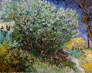 O arbusto lilás. Vincent VAN GOGH (1853-1890) de Vincent van Gogh