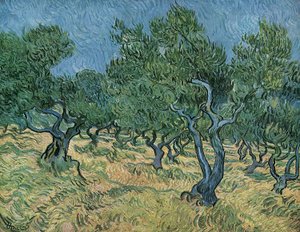 Olival de Vincent van Gogh