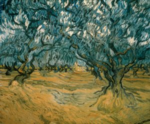 oliveiras de Vincent van Gogh