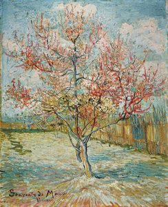Pessegueiros cor-de-rosa (Souvenir de Mauve) de Vincent van Gogh