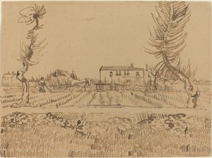 Lavrador nos campos perto de Arles de Vincent van Gogh