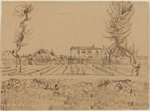  de Vincent van Gogh