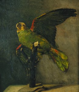 O papagaio verde; O papagaio verde, 1885 de Vincent van Gogh