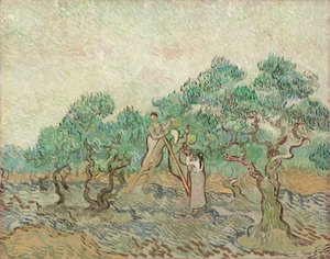 O Olival, 1889. de Vincent van Gogh