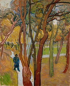 O jardim do Hospital Saint Pauls A queda das folhas, 1889 de Vincent van Gogh